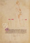 Bartolomeo Squarcialupi - Buch der Kauter – ms. Fanzago 2, I, 5, 28 – Biblioteca Medica Vincenzo Pinali (Padua, Itaien) Faksimile