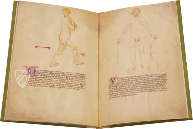 Bartolomeo Squarcialupi - Buch der Kauter – Nova Charta – ms. Fanzago 2, I, 5, 28 – Biblioteca Medica Vincenzo Pinali (Padua, Itaien)