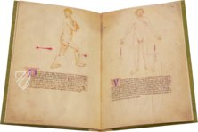Bartolomeo Squarcialupi - Buch der Kauter – Nova Charta – ms. Fanzago 2, I, 5, 28 – Biblioteca Medica Vincenzo Pinali (Padua, Itaien)