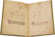 Bartolomeo Squarcialupi - Buch der Kauter – Nova Charta – ms. Fanzago 2, I, 5, 28 – Biblioteca Medica Vincenzo Pinali (Padua, Itaien)