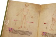 Bartolomeo Squarcialupi - Buch der Kauter – Nova Charta – ms. Fanzago 2, I, 5, 28 – Biblioteca Medica Vincenzo Pinali (Padua, Itaien)