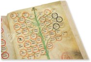 Baum der Philosophie der Liebe von Ramon Llull – Millennium Liber – F-129 – Biblioteca Diocesana de Mallorca (Palma de Mallorca, Spanien)
