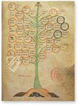 Baum der Philosophie der Liebe von Ramon Llull – Millennium Liber – F-129 – Biblioteca Diocesana de Mallorca (Palma de Mallorca, Spanien)