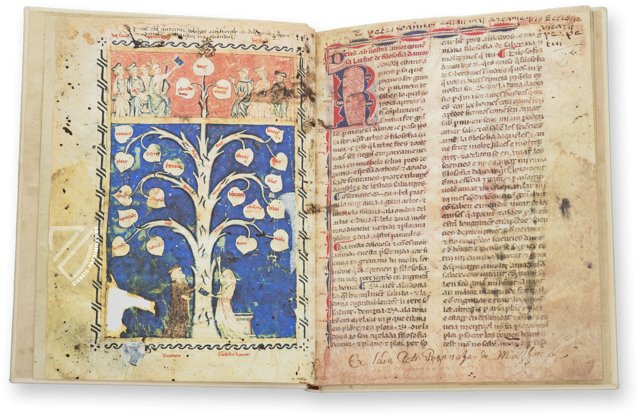 Baum der Philosophie der Liebe von Ramon Llull – Millennium Liber – F-129 – Biblioteca Diocesana de Mallorca (Palma, Spanien)
