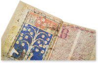 Baum der Philosophie der Liebe von Ramon Llull – Millennium Liber – F-129 – Biblioteca Diocesana de Mallorca (Palma, Spanien)