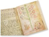 Baum der Philosophie der Liebe von Ramon Llull – Millennium Liber – F-129 – Biblioteca Diocesana de Mallorca (Palma, Spanien)