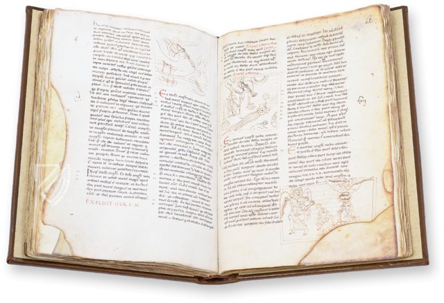 Beatus von Liébana - Berliner Codex – Millennium Liber – Ms. Theol. lat. fol. 561 – Staatsbibliothek zu Berlin (Berlin, Deutschland)