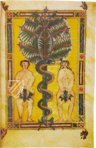 Beatus von Liébana - Codex Escorial – Testimonio Compañía Editorial –  MS &.II.5 – Real Biblioteca del Monasterio de San Lorenzo de El Escorial (San Lorenzo de El Escorial, Spanien)
