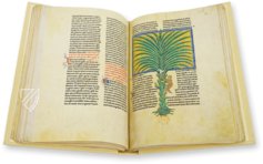 Beatus von Liébana - Codex San Andrés de Arroyo – M. Moleiro Editor – Nouv. acq. lat. 2290 – Bibliothèque nationale de France (Paris, Frankreich)