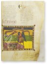 Beatus von Liébana - Codex San Miguel de Escalada – Scriptorium – MS M.644 – Morgan Library & Museum (New York, USA)