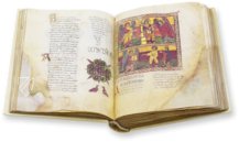 Beatus von Liébana - Codex San Miguel de Escalada – Scriptorium – MS M.644 – The Morgan Library & Museum (New York, USA)