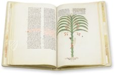 Beatus von Liébana - Codex San Pedro de Cardeña – M. Moleiro Editor – Ms. 2 – Museo Arqueológico Nacional (Madrid, Spanien) Beatus von Liébana - Codex San Pedro de Cardeña – M. Moleiro Editor – Ms. 2 – Museo Arqueológico Nacional (Madrid, Spanien)