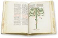 Beatus von Liébana - Codex San Pedro de Cardeña – M. Moleiro Editor – Ms. 2 – Museo Arqueológico Nacional (Madrid, Spanien) Beatus von Liébana - Codex San Pedro de Cardeña – M. Moleiro Editor – Ms. 2 – Museo Arqueológico Nacional (Madrid, Spanien)