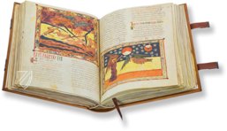 Beatus von Liébana - Codex Valcavado – Testimonio Compañía Editorial – 433 – Biblioteca Histórica de Santa Cruz - Universidad de Valladolid (Valladolid, Spanien)