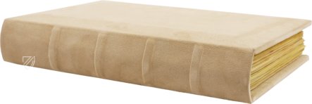 Beatus von Liébana - Codex von Girona – M. Moleiro Editor – Catedral, Num. Inv. 7 (11) – Museu-Tresor de la Catedral (Gerona, Spanien)