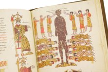 Beatus von Liébana - Codex von Silos – Add. Ms 11695 – British Library (London, Großbritannien) Faksimile