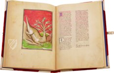 Berry-Apokalypse – MS M.133 – Morgan Library & Museum (New York, USA) Faksimile