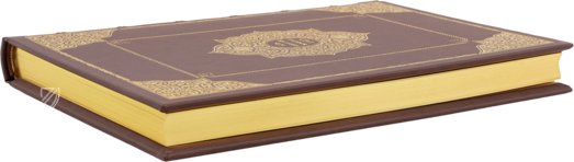 Beschreibung und Contrafactur der Vornehmbster Stät der Welt – 1582 – Müller & Schindler – Verschiedene Eigentümer