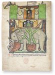 Bestiarium aus Westminster – Ms. 22 – Westminster Abbey Library (London, Großbritannien) Faksimile