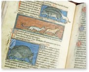 Bestiarium aus Westminster – Siloé, arte y bibliofilia – Ms. 22 – Westminster Abbey Library (London, Vereinigtes Königreich)