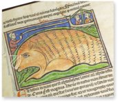 Bestiarium aus Westminster – Siloé, arte y bibliofilia – Ms. 22 – Westminster Abbey Library (London, Vereinigtes Königreich)