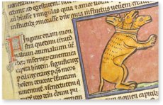 Bestiarium aus Westminster – Siloé, arte y bibliofilia – Ms. 22 – Westminster Abbey Library (London, Vereinigtes Königreich)