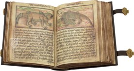 Bestiarium von Juan d'Austria – Siloé, arte y bibliofilia – Monasterio de Santa Maria de la Vid (Burgos, Spanien)