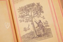 Bibel des Heiligen Johannes von Ribera - 1540 – Ajuntament de Valencia – V-18 – Biblioteca del Real Colegio-Seminario de Corpus Christi (Valencia, Spanien)