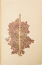 Bibel des Marco Polo – Istituto dell'Enciclopedia Italiana - Treccani – Pluteo 3, capsula 1 – Biblioteca Medicea Laurenziana (Florenz, Italien)
