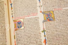 Bibel des Pietro Cavallini – Istituto dell'Enciclopedia Italiana - Treccani – Civ. A. 72 – Biblioteche Riunite "Civica e A. Ursino Recupero" (Catania, Italien) Bibel des Pietro Cavallini – Istituto dell'Enciclopedia Italiana - Treccani – Civ. A. 72 – Biblioteche Riunite "Civica e A. Ursino Recupero" (Catania, Italien)