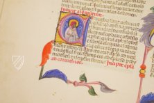 Bibel des Pietro Cavallini – Istituto dell'Enciclopedia Italiana - Treccani – Civ. A. 72 – Biblioteche Riunite "Civica e A. Ursino Recupero" (Catania, Italien) Bibel des Pietro Cavallini – Istituto dell'Enciclopedia Italiana - Treccani – Civ. A. 72 – Biblioteche Riunite "Civica e A. Ursino Recupero" (Catania, Italien)