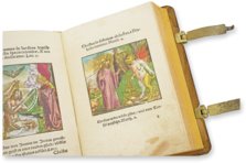 Biblia Veteris Testamenti – Orbis Pictus – 