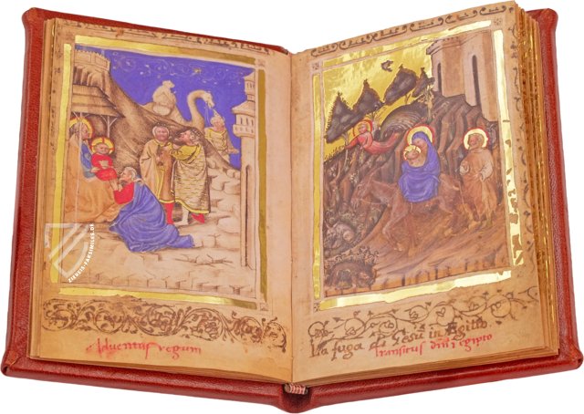 Bilderbibel aus Bologna – Imago – MS q Med. 85 – Boston Public Library (Boston, USA) Bilderbibel aus Bologna – Imago – MS q Med. 85 – Boston Public Library (Boston, USA)