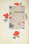 Blumenstundenbuch von Simon Bening – Faksimile Verlag – Clm 23637 – Bayerische Staatsbibliothek (München, Deutschland)