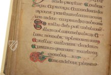 Book of Kells – Faksimile Verlag – Ms. 58 (A.I.6) – Library of the Trinity College (Dublin, Irland)