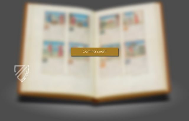 Buch der Anatomie des Menschen – Vicent Garcia Editores – R/2461 – Biblioteca Nacional de España (Madrid, Spanien)