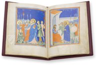 Buch der Bilder von Pacino de Bonaguida – Müller & Schindler – MS M.643 – The Morgan Library & Museum (New York, USA) Buch der Bilder von Pacino de Bonaguida – Müller & Schindler – MS M.643 – The Morgan Library & Museum (New York, USA)