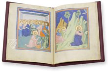 Buch der Bilder von Pacino de Bonaguida – Müller & Schindler – MS M.643 – The Morgan Library & Museum (New York, USA) Buch der Bilder von Pacino de Bonaguida – Müller & Schindler – MS M.643 – The Morgan Library & Museum (New York, USA)