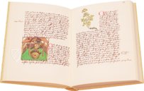 Buch der einfachen Heilmittel - Codex Bruxellensis – De Schutter – Codex Bruxellensis IV. 1024 – KBR (Koninklijke Bibliotheek van België/Bibliothèque royale de Belgique) (Brüssel, Belgien) Buch der einfachen Heilmittel - Codex Bruxellensis – De Schutter – Codex Bruxellensis IV. 1024 – KBR (Koninklijke Bibliotheek van België/Bibliothèque royale de Belgique) (Brüssel, Belgien)