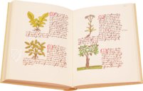 Buch der einfachen Heilmittel - Codex Bruxellensis – De Schutter – Codex Bruxellensis IV. 1024 – KBR (Koninklijke Bibliotheek van België/Bibliothèque royale de Belgique) (Brüssel, Belgien) Buch der einfachen Heilmittel - Codex Bruxellensis – De Schutter – Codex Bruxellensis IV. 1024 – KBR (Koninklijke Bibliotheek van België/Bibliothèque royale de Belgique) (Brüssel, Belgien)