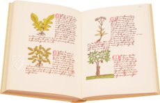 Buch der einfachen Heilmittel - Codex Bruxellensis – De Schutter – Codex Bruxellensis IV. 1024 – KBR (Koninklijke Bibliotheek van België/Bibliothèque royale de Belgique) (Brüssel, Belgien) Buch der einfachen Heilmittel - Codex Bruxellensis – De Schutter – Codex Bruxellensis IV. 1024 – KBR (Koninklijke Bibliotheek van België/Bibliothèque royale de Belgique) (Brüssel, Belgien)