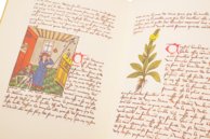 Buch der einfachen Heilmittel - Codex Bruxellensis – De Schutter – Codex Bruxellensis IV. 1024 – KBR (Koninklijke Bibliotheek van België/Bibliothèque royale de Belgique) (Brüssel, Belgien) Buch der einfachen Heilmittel - Codex Bruxellensis – De Schutter – Codex Bruxellensis IV. 1024 – KBR (Koninklijke Bibliotheek van België/Bibliothèque royale de Belgique) (Brüssel, Belgien)