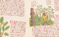 Buch der einfachen Heilmittel - Codex Bruxellensis – De Schutter – Codex Bruxellensis IV. 1024 – KBR (Koninklijke Bibliotheek van België/Bibliothèque royale de Belgique) (Brüssel, Belgien) Buch der einfachen Heilmittel - Codex Bruxellensis – De Schutter – Codex Bruxellensis IV. 1024 – KBR (Koninklijke Bibliotheek van België/Bibliothèque royale de Belgique) (Brüssel, Belgien)