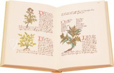Buch der einfachen Heilmittel - Codex Bruxellensis – De Schutter – MS IV 1024 – KBR (Koninklijke Bibliotheek van België