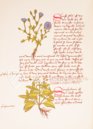 Buch der einfachen Heilmittel - Codex Bruxellensis – De Schutter – MS IV 1024 – KBR (Koninklijke Bibliotheek van België