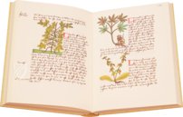 Buch der einfachen Heilmittel - Codex Bruxellensis – De Schutter – MS IV 1024 – KBR (Koninklijke Bibliotheek van België