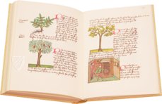 Buch der einfachen Heilmittel - Codex Bruxellensis – De Schutter – MS IV 1024 – KBR (Koninklijke Bibliotheek van België