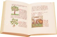 Buch der einfachen Heilmittel - Codex Bruxellensis – De Schutter – MS IV 1024 – KBR (Koninklijke Bibliotheek van België