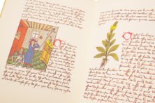Buch der einfachen Heilmittel - Codex Bruxellensis – De Schutter – MS IV 1024 – KBR (Koninklijke Bibliotheek van België