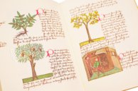 Buch der einfachen Heilmittel - Codex Bruxellensis – De Schutter – MS IV 1024 – KBR (Koninklijke Bibliotheek van België